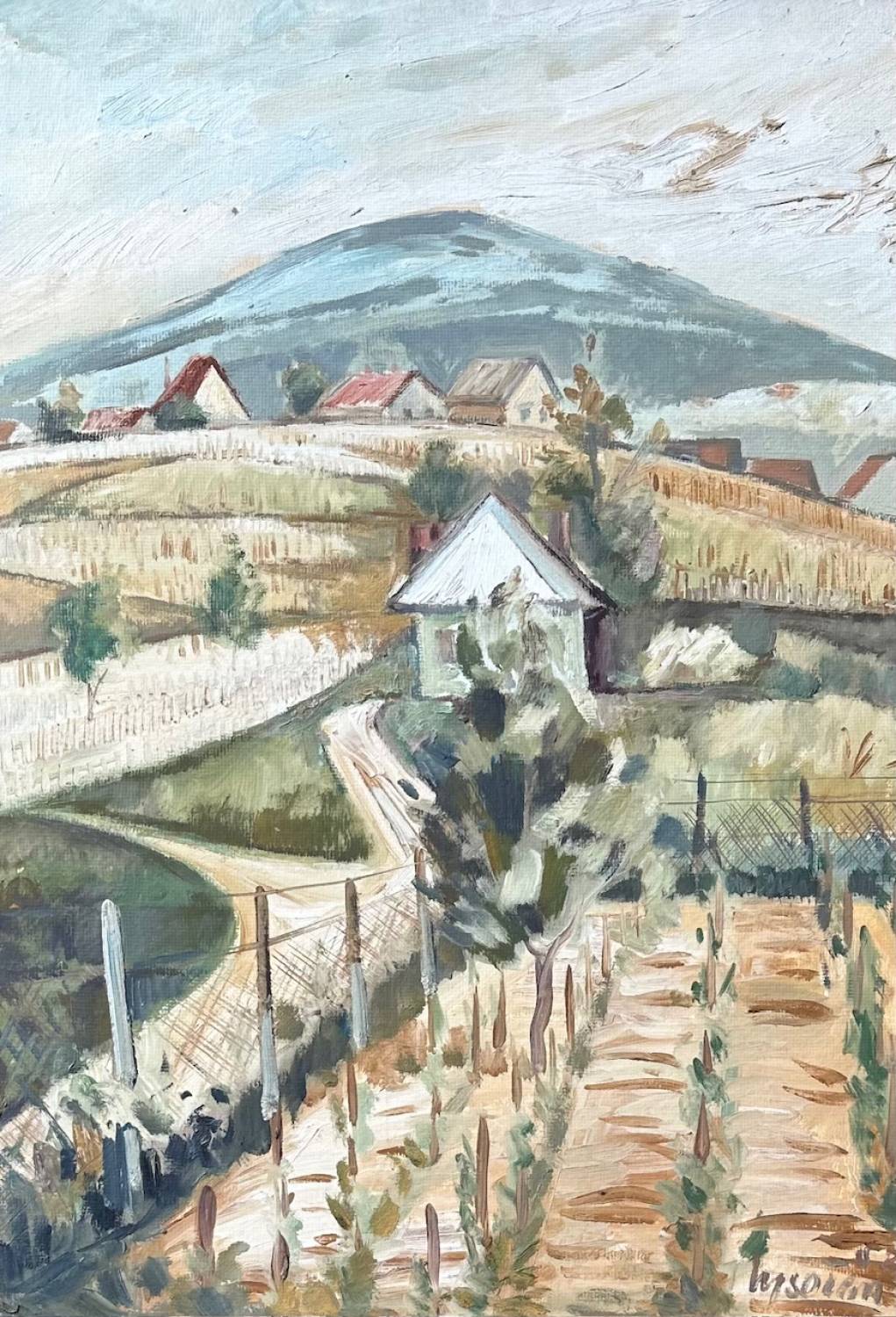 Vinohrady v Sv. Jure