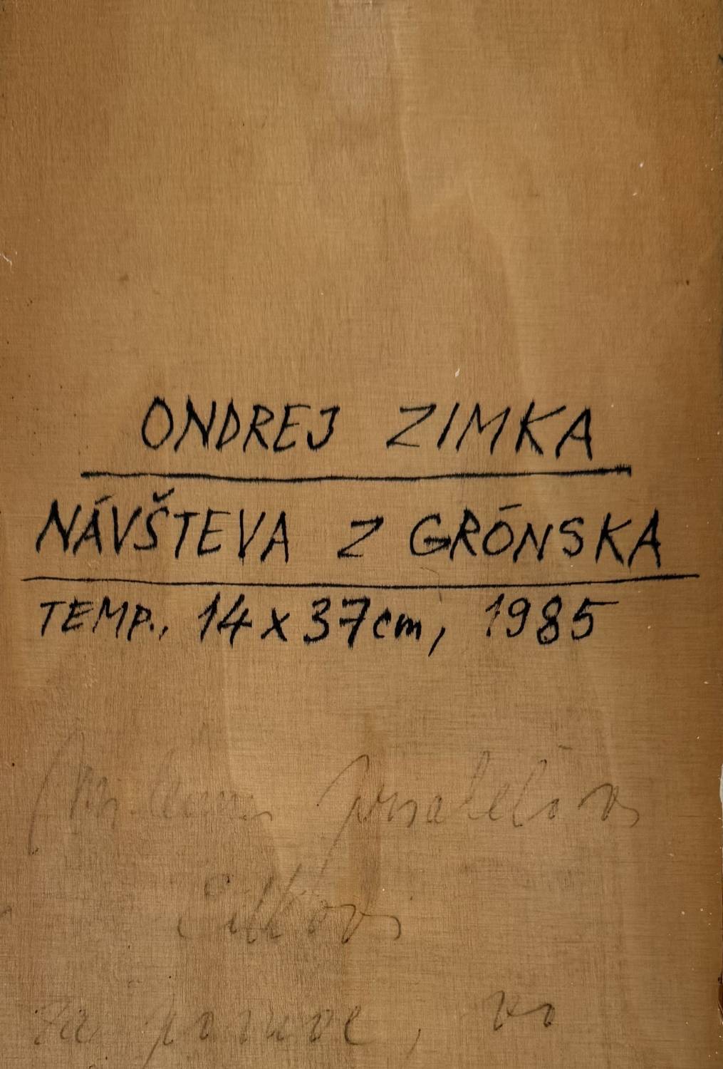 Návšteva z Grónska