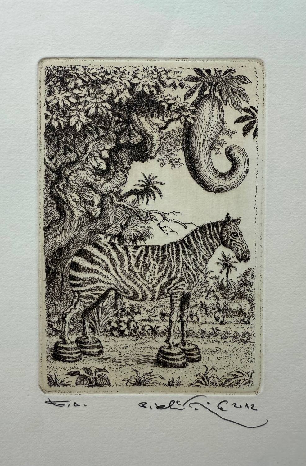 Zebra