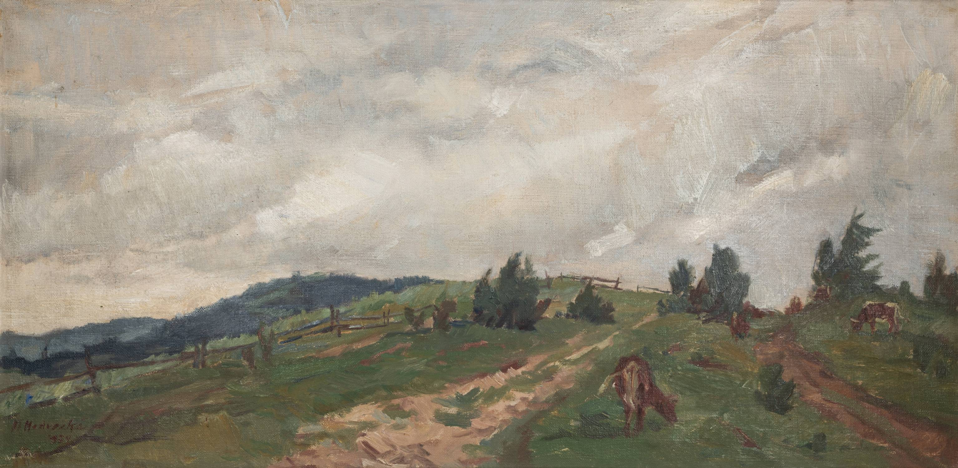 Orava