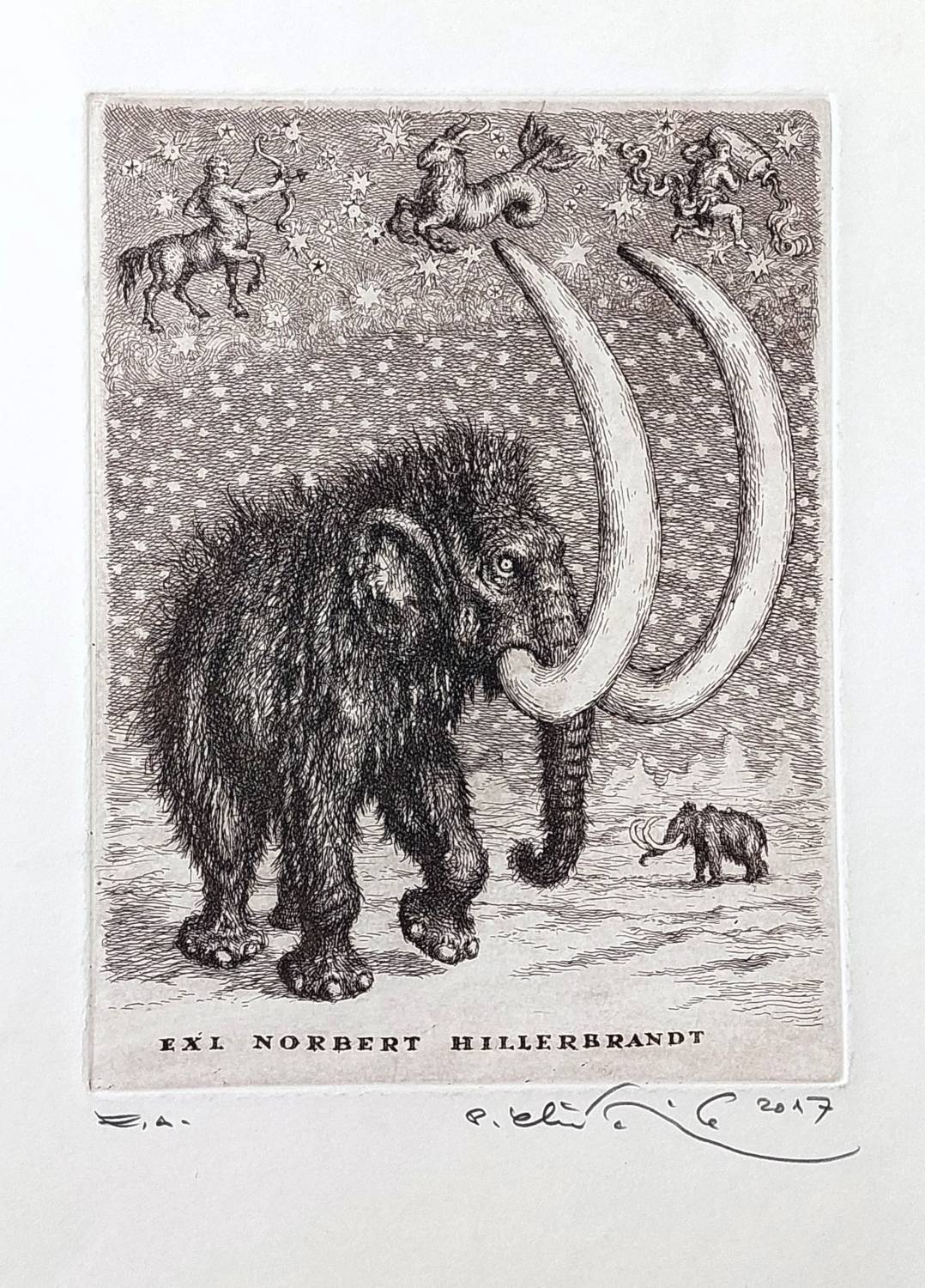 Mamut