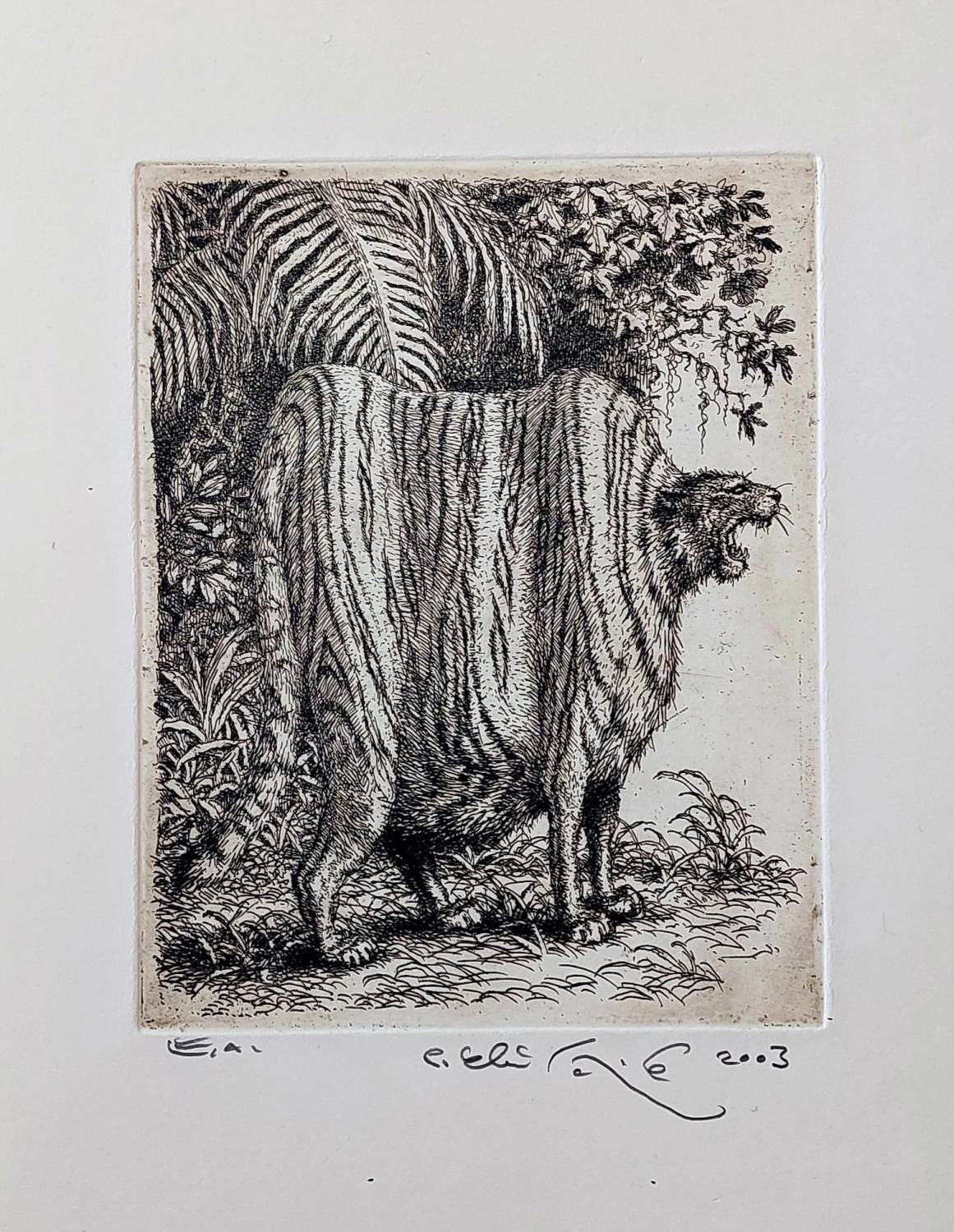Tiger