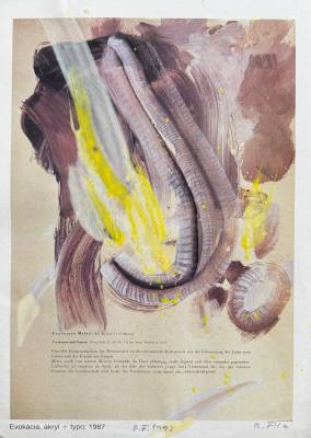 PF 1992