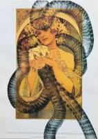 Obrázok Mucha vs Fila (12ks)