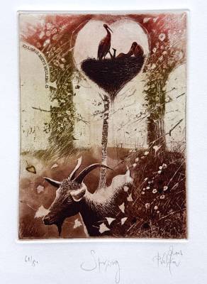 Spring - Ex Libris Miets Meulemans