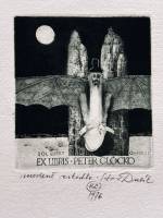 Obrázok Medené zrkadlo