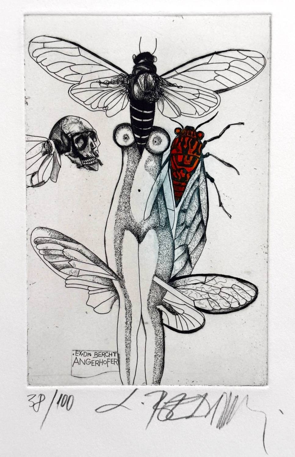 Ex Libris Bercht Angerhofer