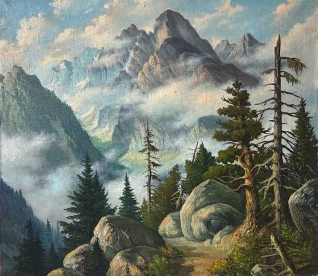 Vysoké Tatry - Studená dolina