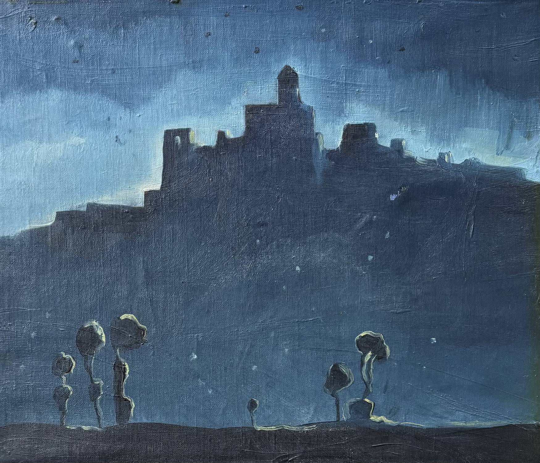 Nočný Trenčianský hrad