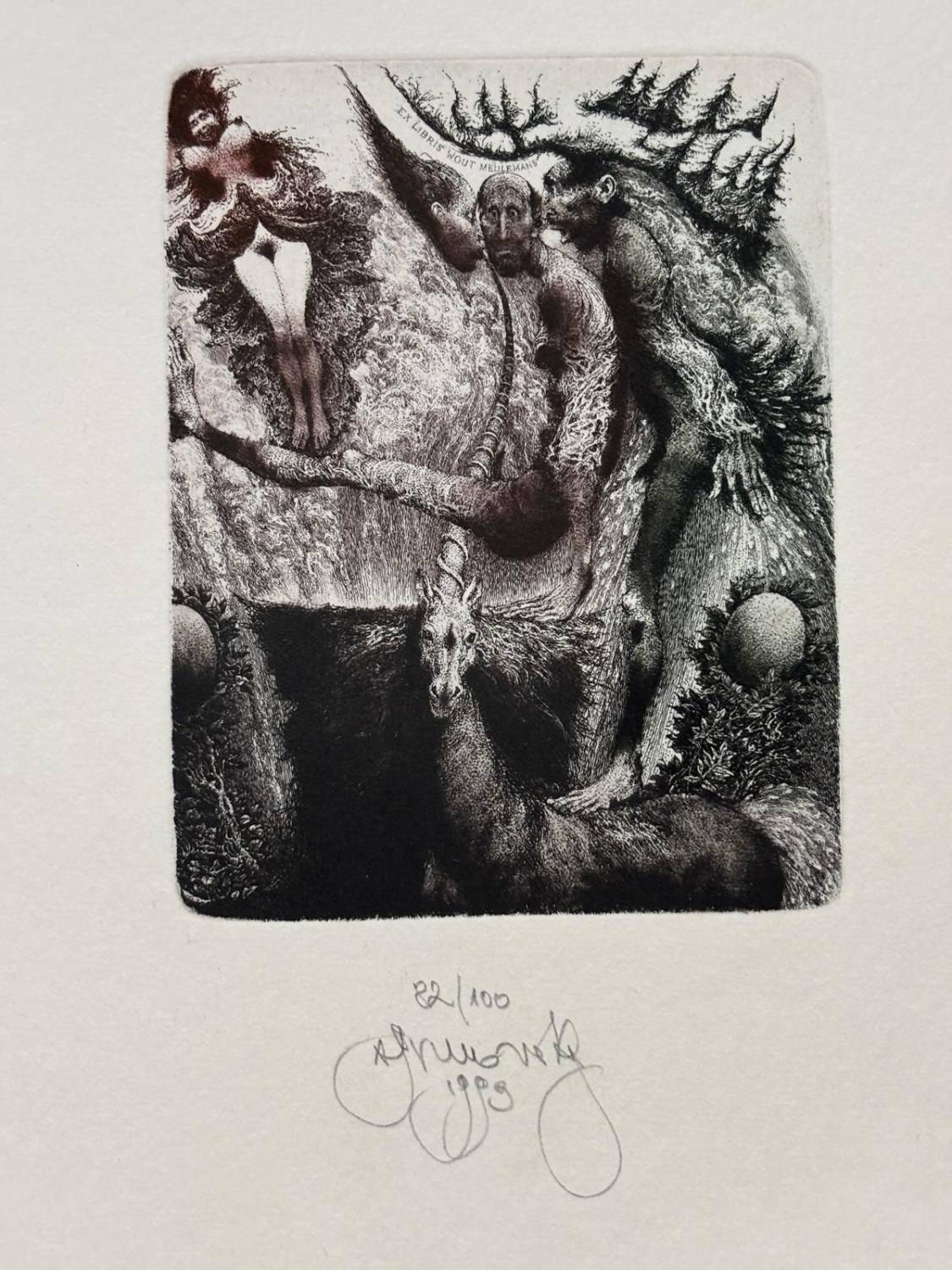 Lustrácia jednorožca