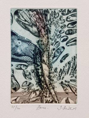 Ex Libris Marian Potrok (Žena)