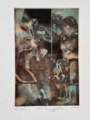 Ex Libris Wout Meulemans