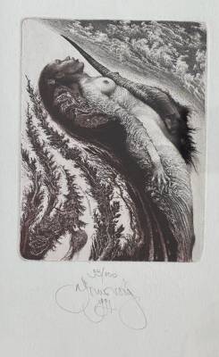 Príbeh letnej lásky