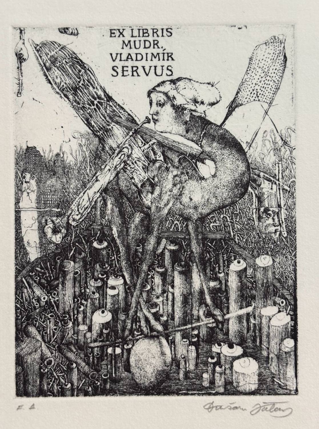 Ex Libris Vladimír Servus