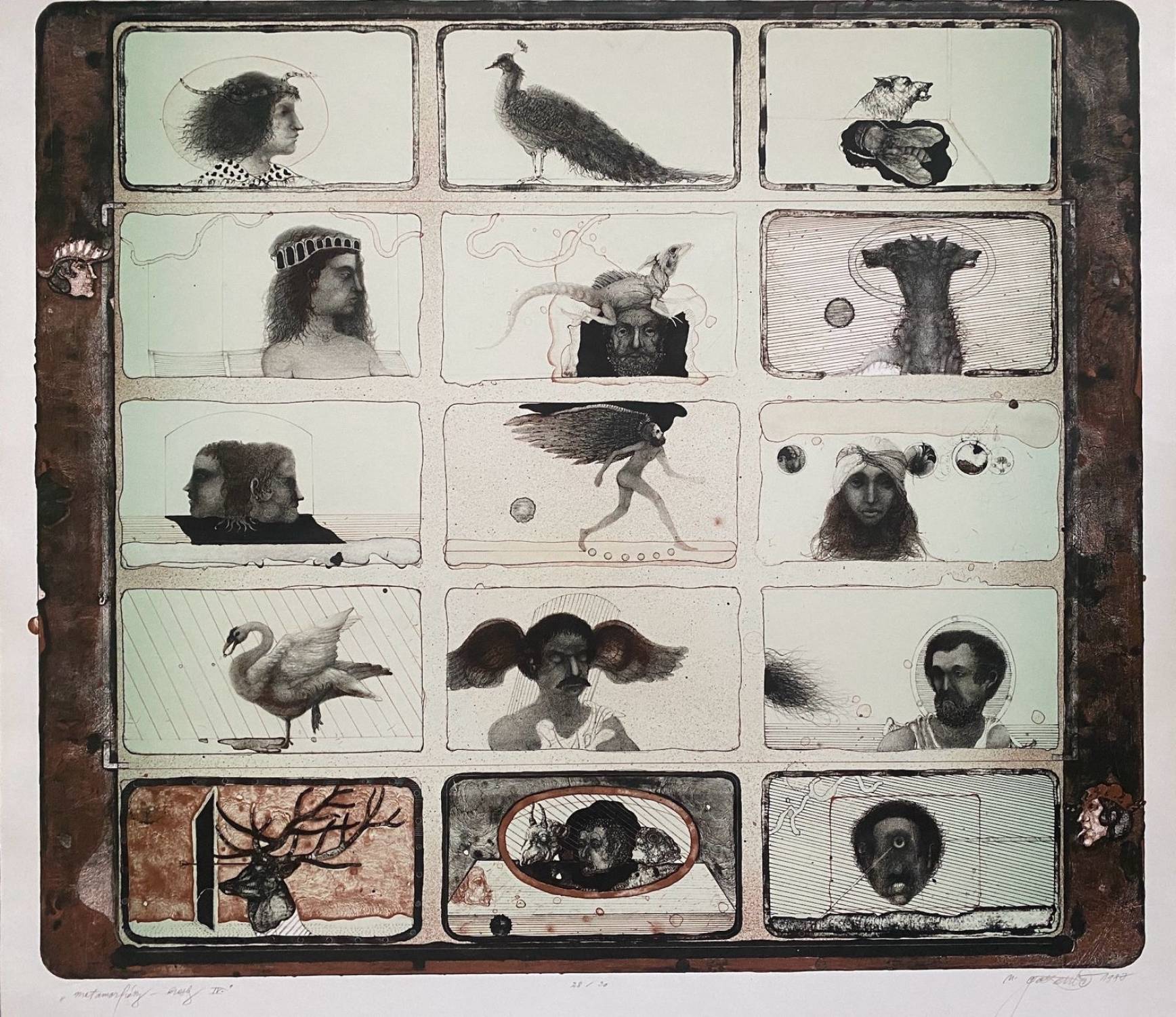 Metamorfózy - kresby IV