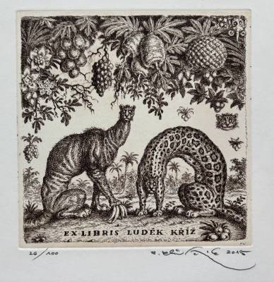 Ex Libris Ludek Kríž