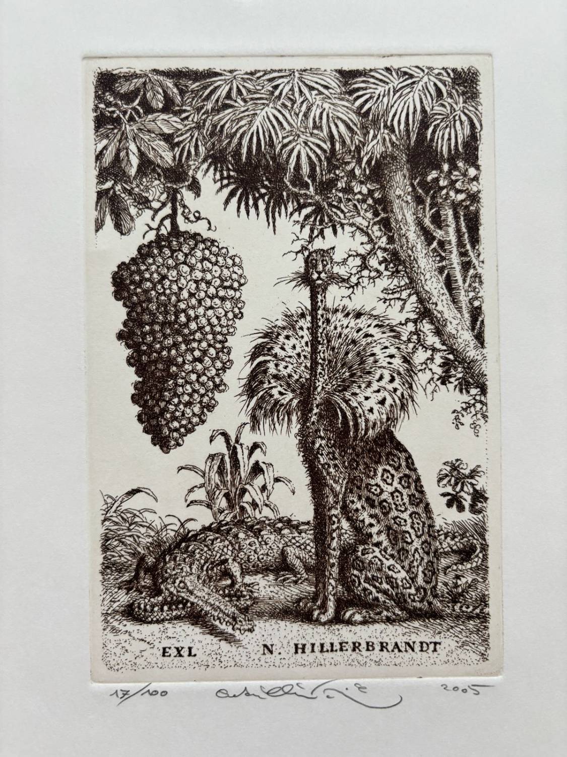 Ex Libris N. Hillerbandt
