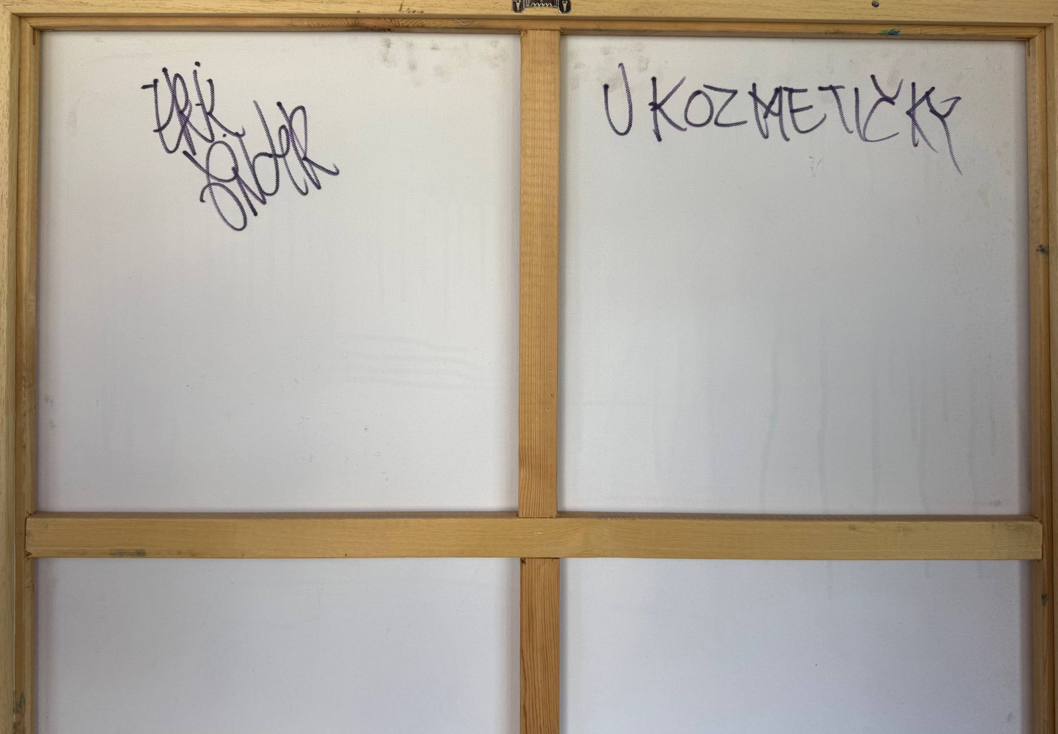 U kozmetičky