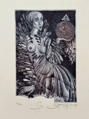 Sen (Ex Libris F. M.)