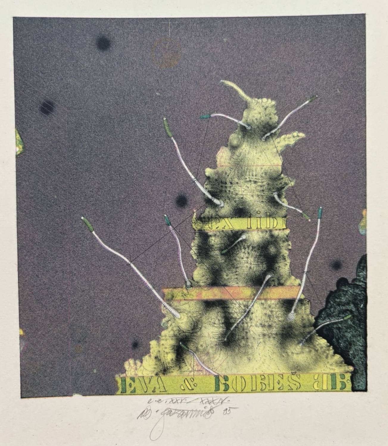 Ex libris Eva a Bobeš
